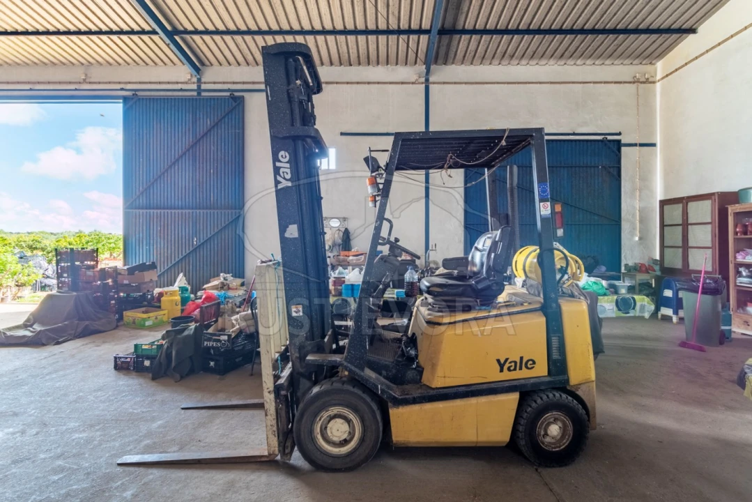 Quinta para Venda em São Bras e São Lourenço Foto 10