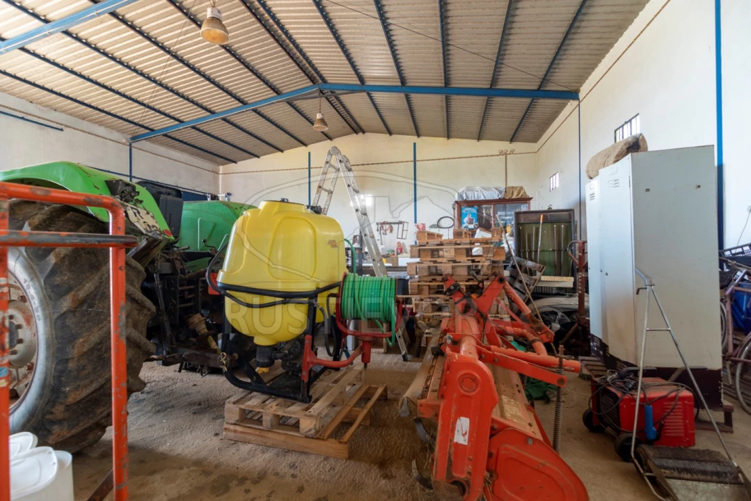 Quinta para Venda em São Bras e São Lourenço Foto 12