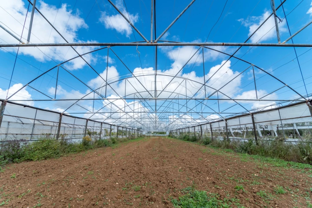 Quinta para Venda em São Bras e São Lourenço Foto 13