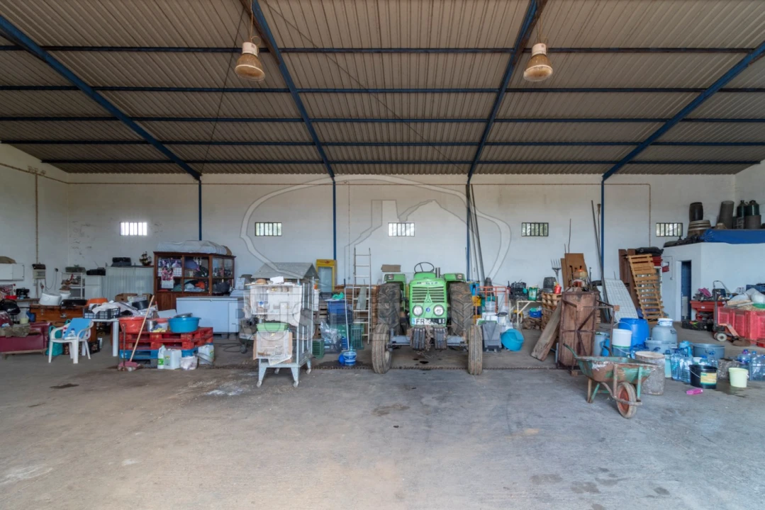 Quinta para Venda em São Bras e São Lourenço Foto 42