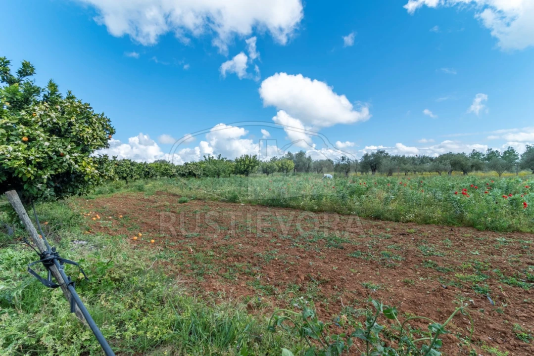 Quinta para Venda em São Bras e São Lourenço Foto 53