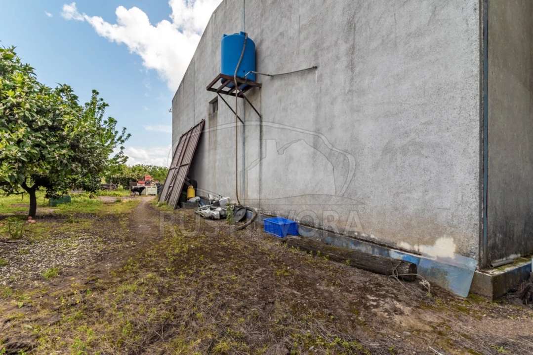 Quinta para Venda em São Bras e São Lourenço Foto 54