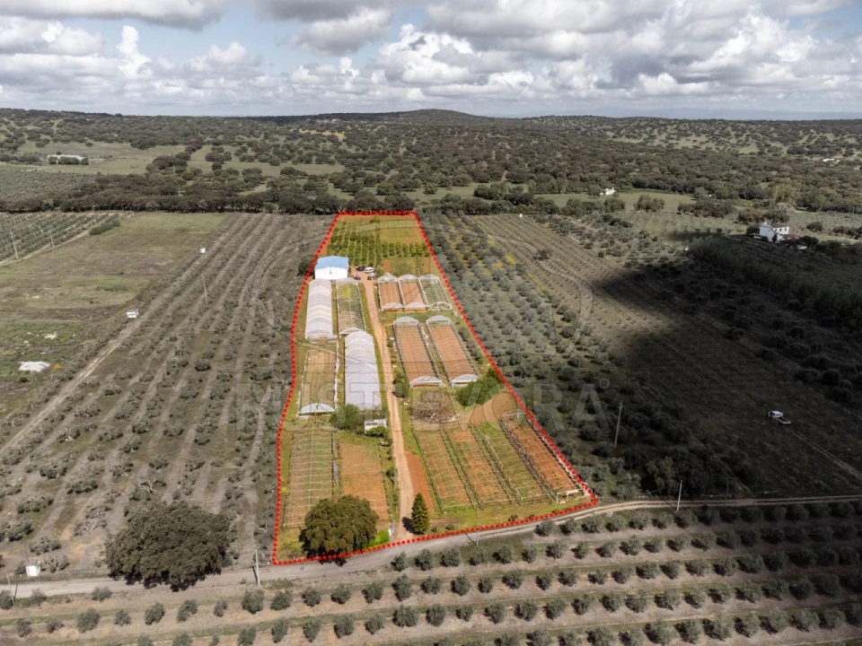 Quinta para Venda em São Bras e São Lourenço Foto 3