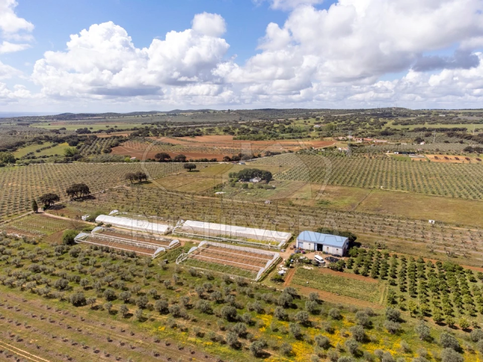 Quinta para Venda em São Bras e São Lourenço Foto 59