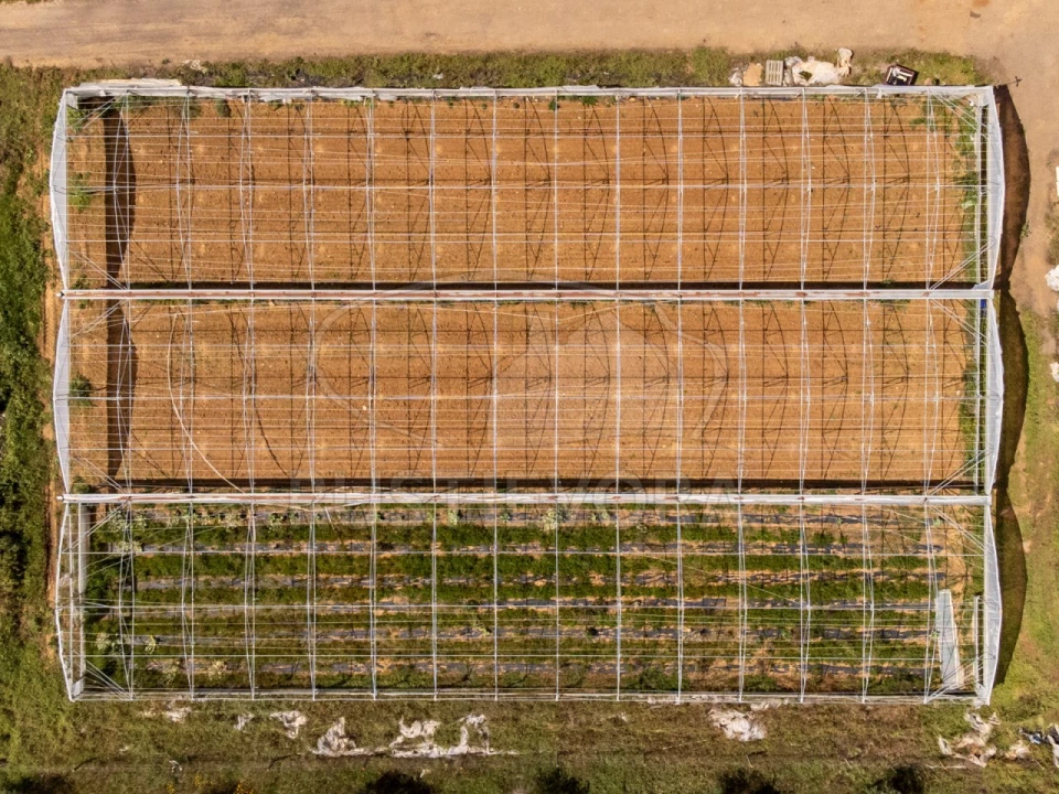 Quinta para Venda em São Bras e São Lourenço Foto 61