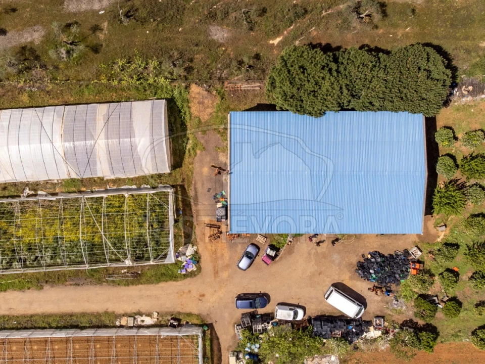 Quinta para Venda em São Bras e São Lourenço Foto 62