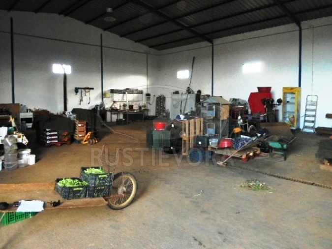 Quinta para Venda em São Bras e São Lourenço Foto 19