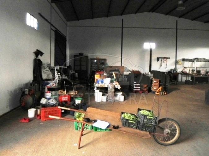 Quinta para Venda em São Bras e São Lourenço Foto 21