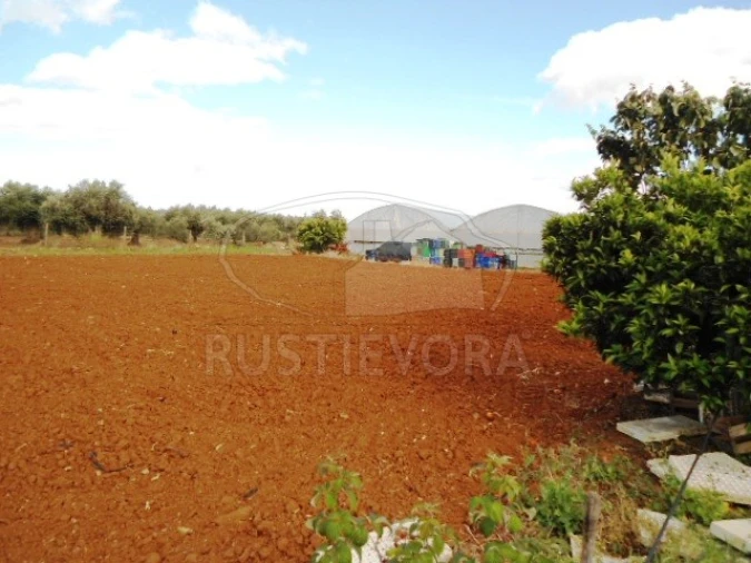 Quinta para Venda em São Bras e São Lourenço Foto 7