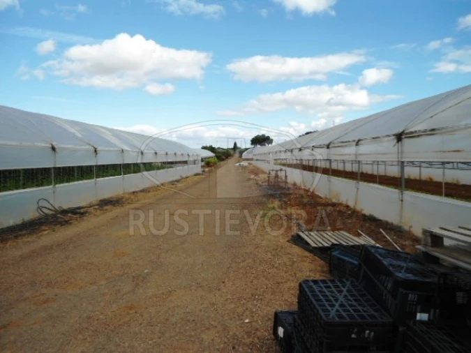 Quinta para Venda em São Bras e São Lourenço Foto 2