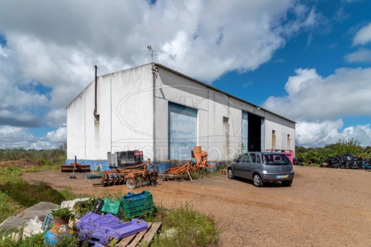 Quinta para Venda em São Bras e São Lourenço Foto 4