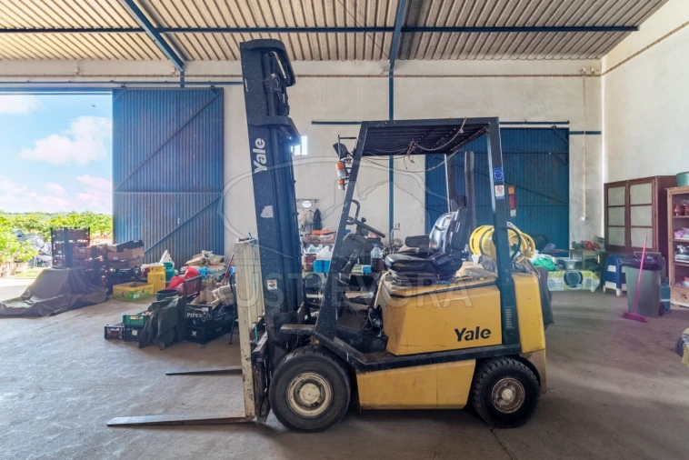 Quinta para Venda em São Bras e São Lourenço Foto 10