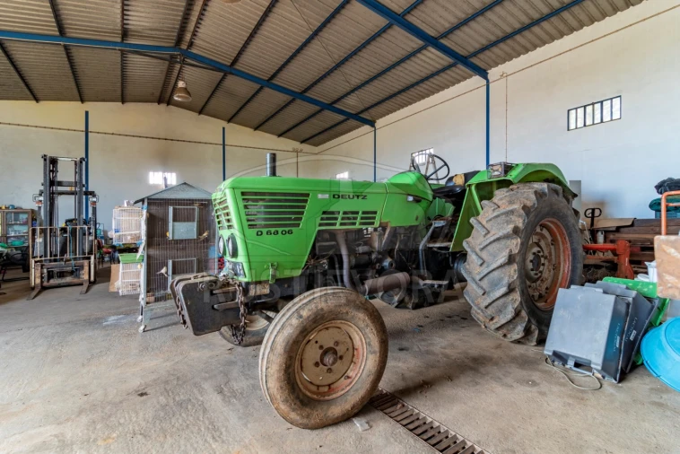Quinta para Venda em São Bras e São Lourenço Foto 11
