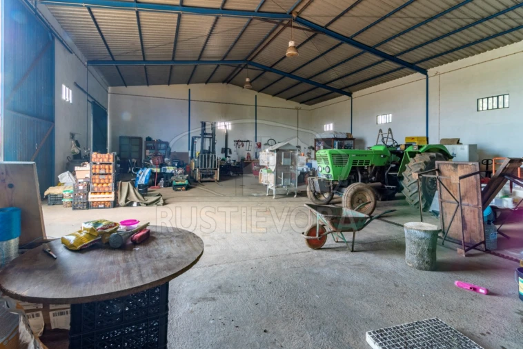 Quinta para Venda em São Bras e São Lourenço Foto 40