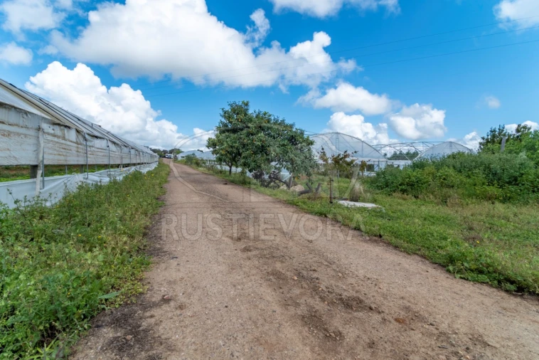 Quinta para Venda em São Bras e São Lourenço Foto 48