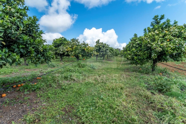 Quinta para Venda em São Bras e São Lourenço Foto 49