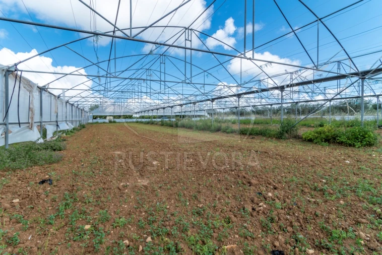 Quinta para Venda em São Bras e São Lourenço Foto 50