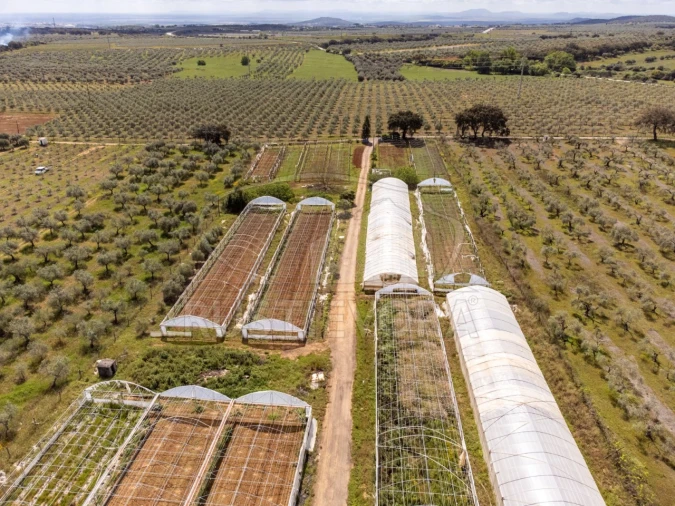 Quinta para Venda em São Bras e São Lourenço Foto 63