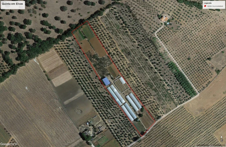 Quinta para Venda em São Bras e São Lourenço Planta 1