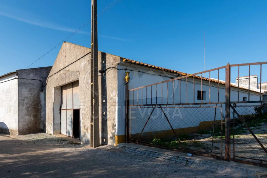 Armazém para Venda em São Manços e São Vicente do Pigeiro Foto 4