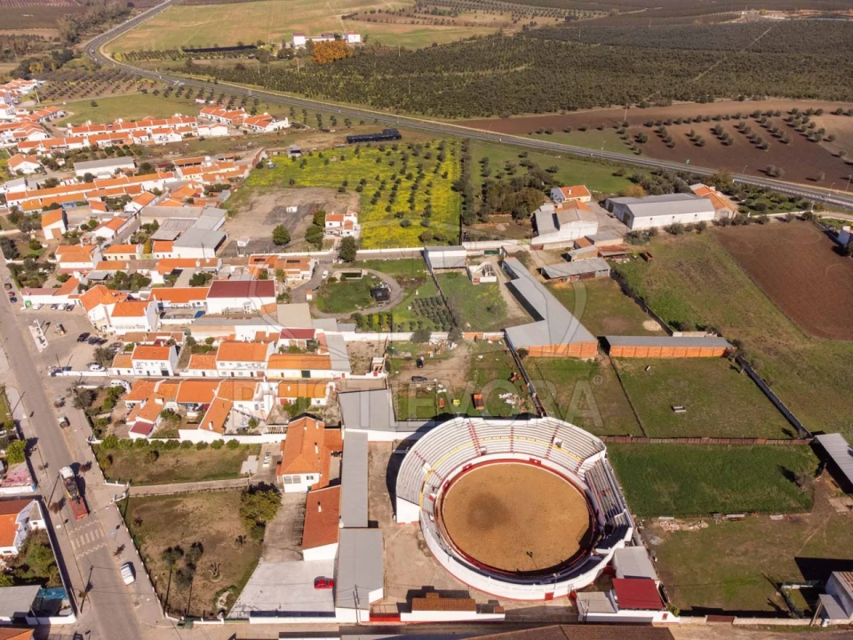 Armazém para Venda em São Manços e São Vicente do Pigeiro Foto 8