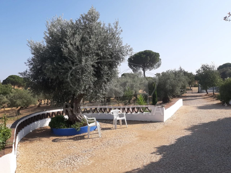 Quinta T8 para Venda em Bacelo e Senhora da Saúde Foto 25