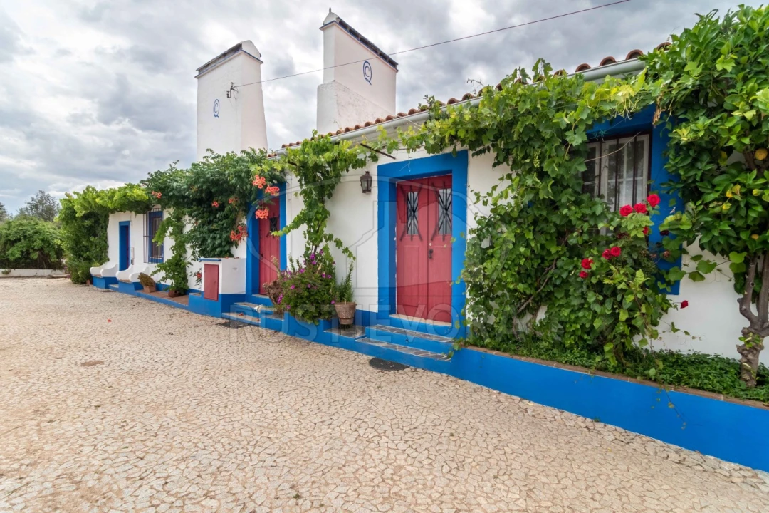 Quinta T8 para Venda em Bacelo e Senhora da Saúde Foto 10