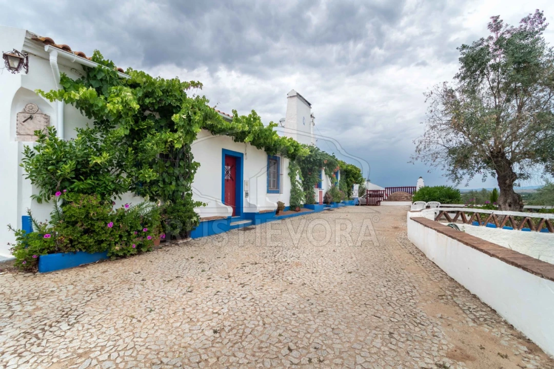 Quinta T8 para Venda em Bacelo e Senhora da Saúde Foto 18