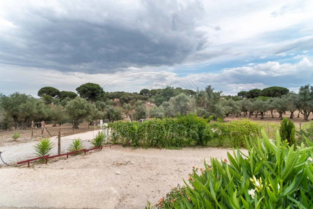 Quinta T8 para Venda em Bacelo e Senhora da Saúde Foto 45