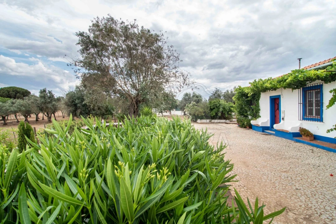 Quinta T8 para Venda em Bacelo e Senhora da Saúde Foto 24