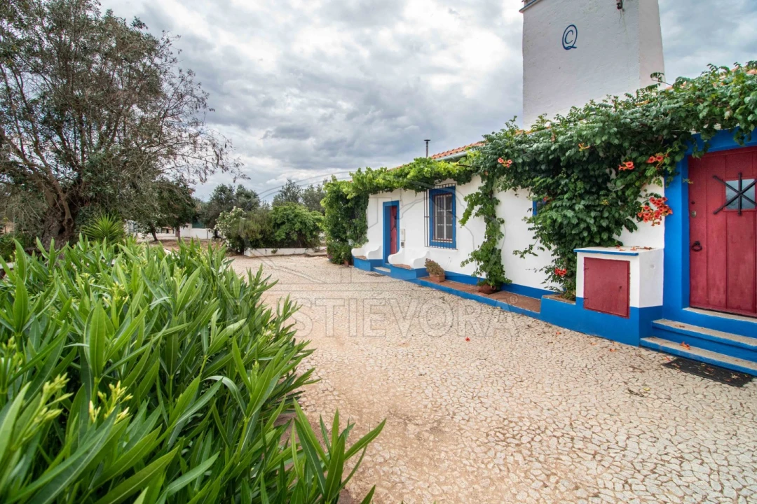 Quinta T8 para Venda em Bacelo e Senhora da Saúde Foto 47