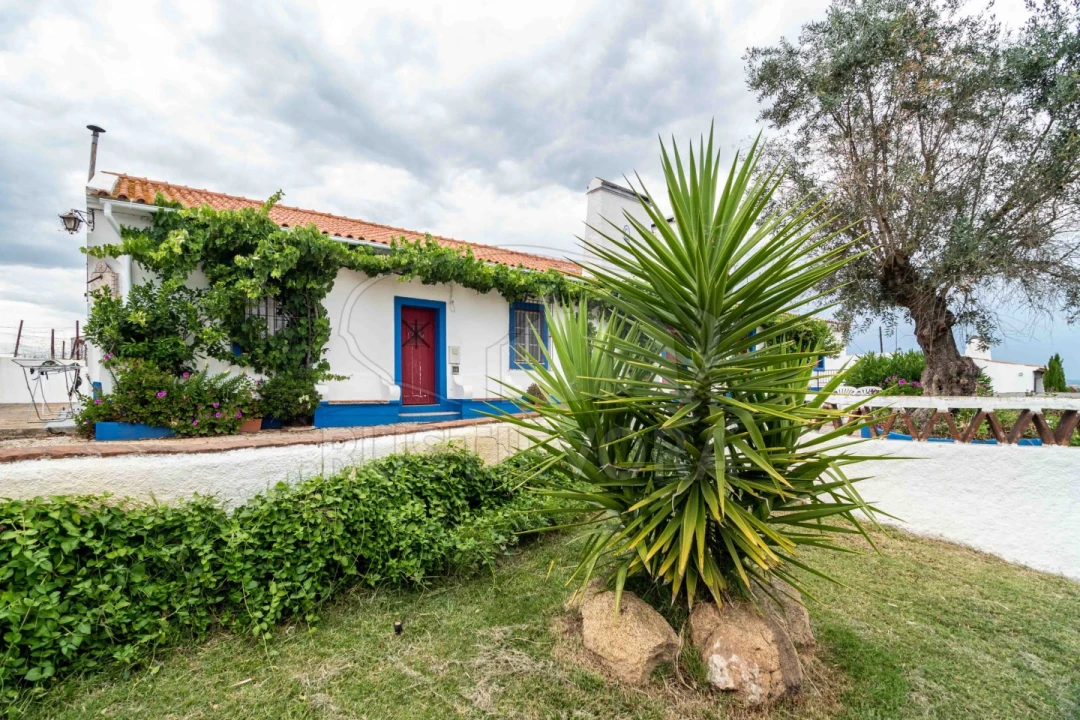 Quinta T8 para Venda em Bacelo e Senhora da Saúde Foto 51