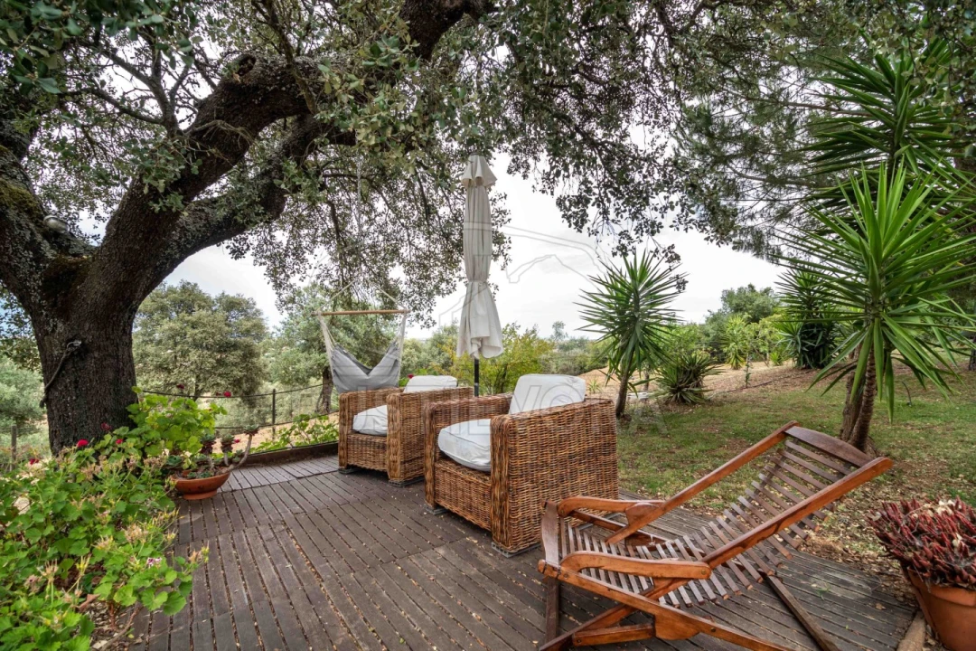 Quinta T8 para Venda em Bacelo e Senhora da Saúde Foto 57