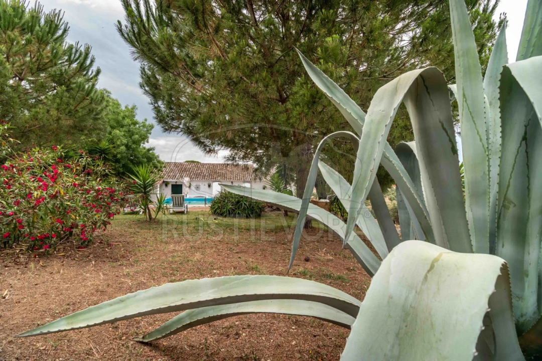 Quinta T8 para Venda em Bacelo e Senhora da Saúde Foto 58