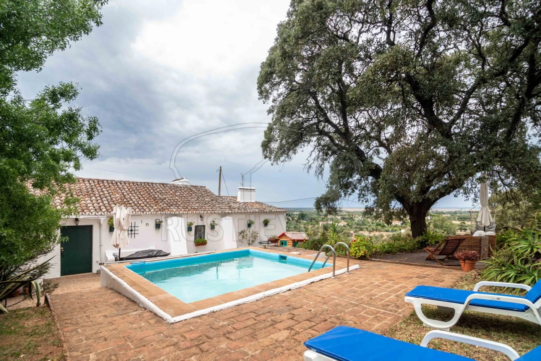 Quinta T8 para Venda em Bacelo e Senhora da Saúde Foto 4