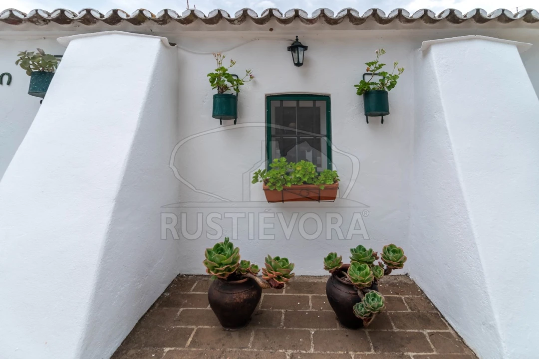 Quinta T8 para Venda em Bacelo e Senhora da Saúde Foto 65