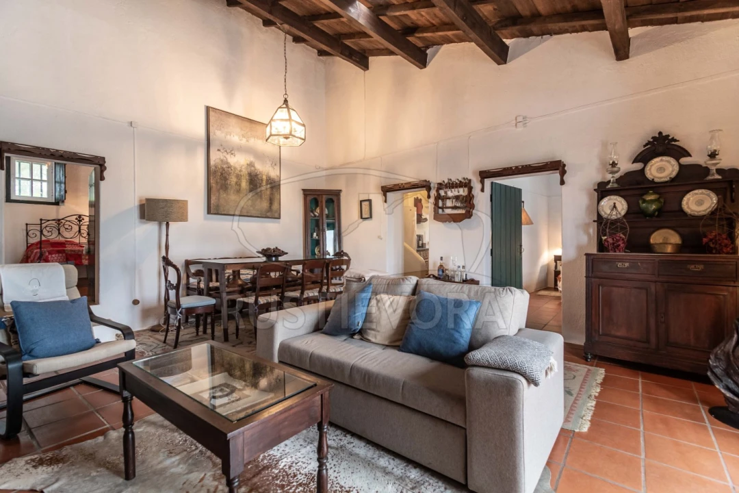 Quinta T8 para Venda em Bacelo e Senhora da Saúde Foto 75