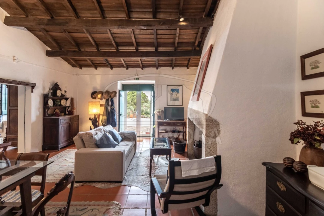 Quinta T8 para Venda em Bacelo e Senhora da Saúde Foto 82