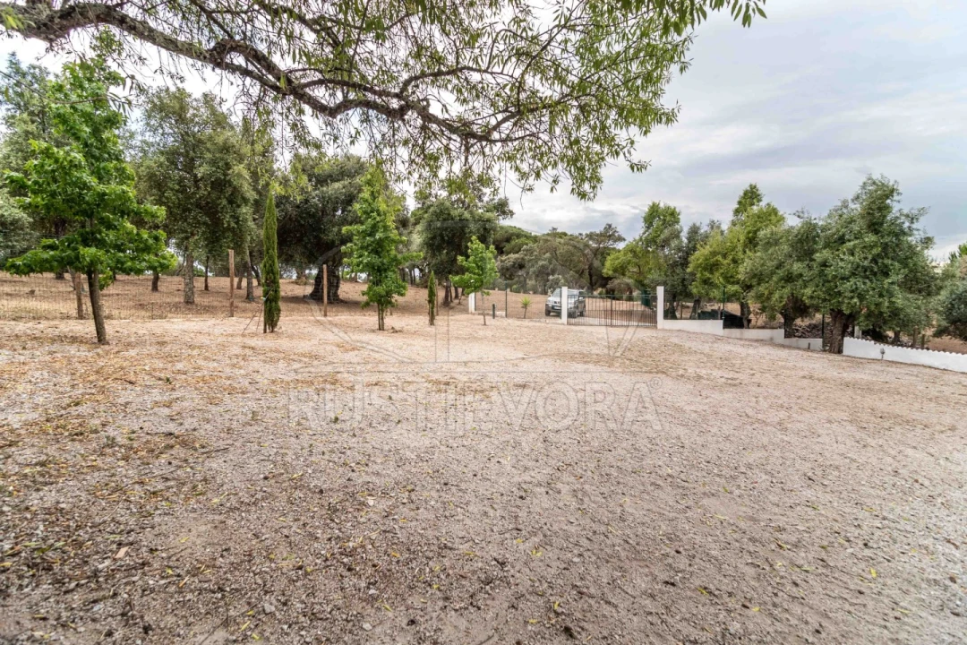 Quinta T8 para Venda em Bacelo e Senhora da Saúde Foto 120