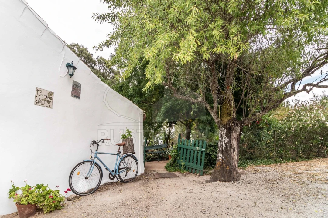 Quinta T8 para Venda em Bacelo e Senhora da Saúde Foto 106