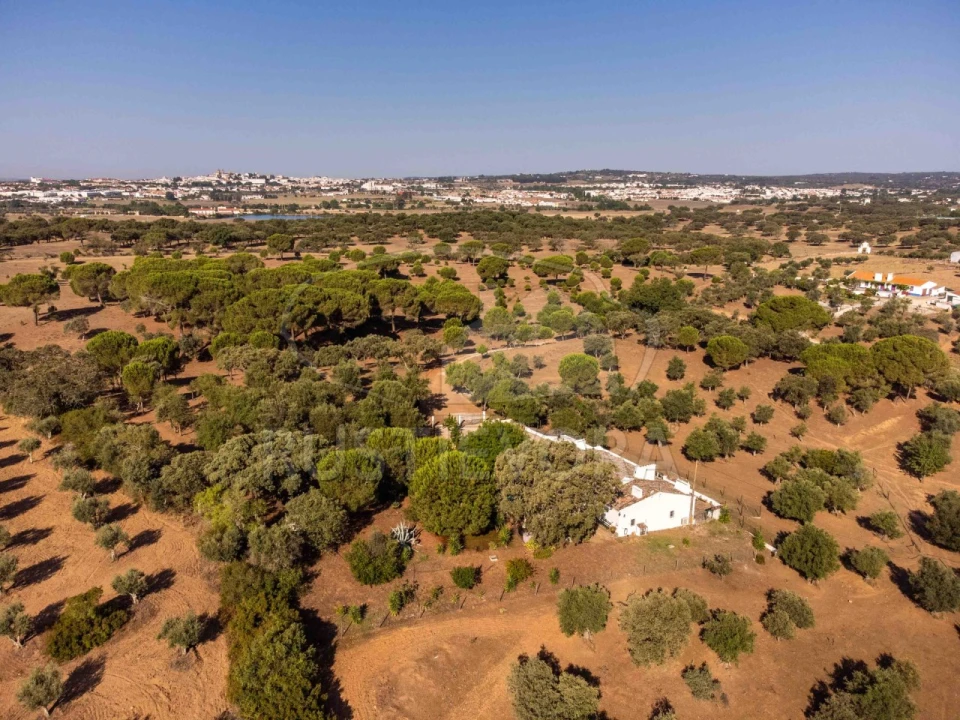 Quinta T8 para Venda em Bacelo e Senhora da Saúde Foto 126
