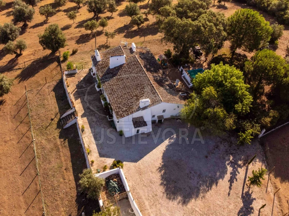 Quinta T8 para Venda em Bacelo e Senhora da Saúde Foto 7