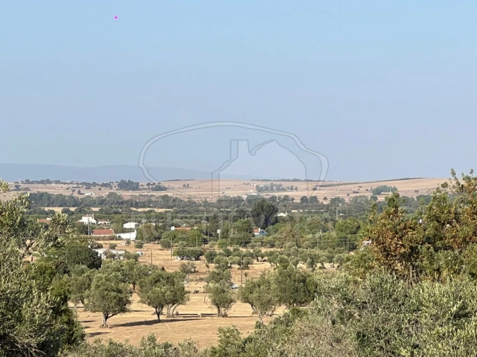 Quinta T8 para Venda em Bacelo e Senhora da Saúde Foto 41