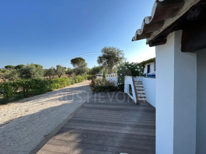 Quinta T8 para Venda em Bacelo e Senhora da Saúde Foto 16