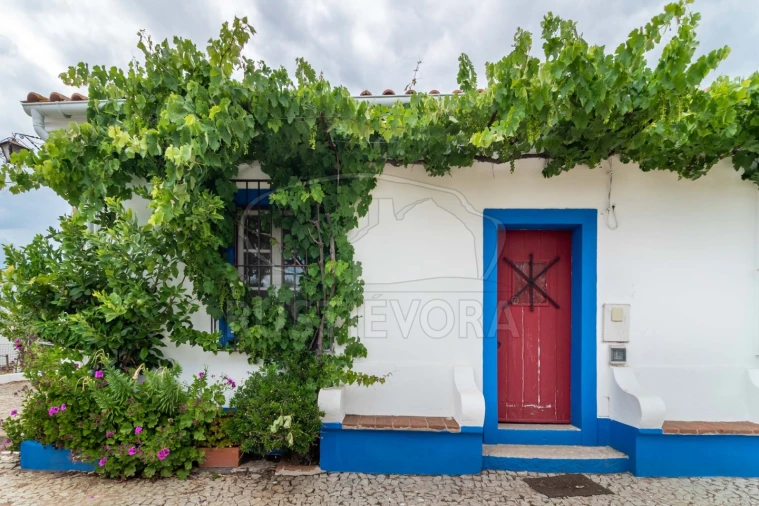 Quinta T8 para Venda em Bacelo e Senhora da Saúde Foto 3