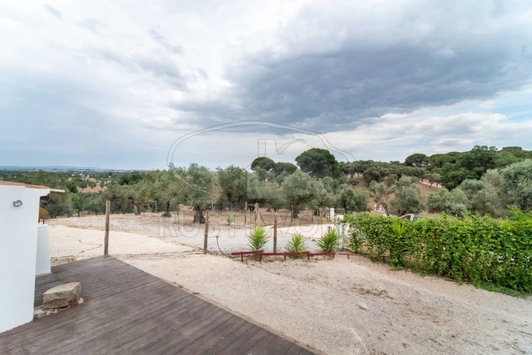 Quinta T8 para Venda em Bacelo e Senhora da Saúde Foto 43