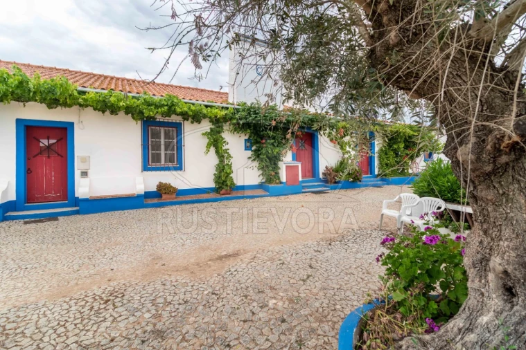 Quinta T8 para Venda em Bacelo e Senhora da Saúde Foto 44