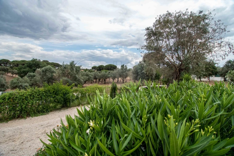Quinta T8 para Venda em Bacelo e Senhora da Saúde Foto 46