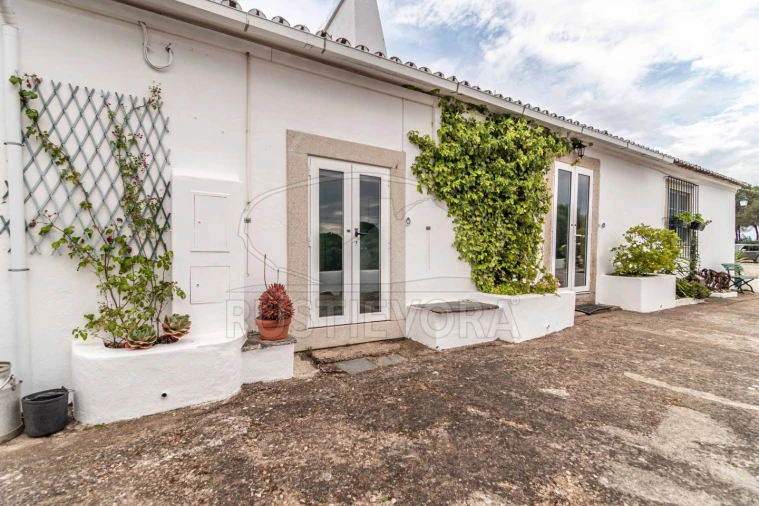 Quinta T8 para Venda em Bacelo e Senhora da Saúde Foto 53