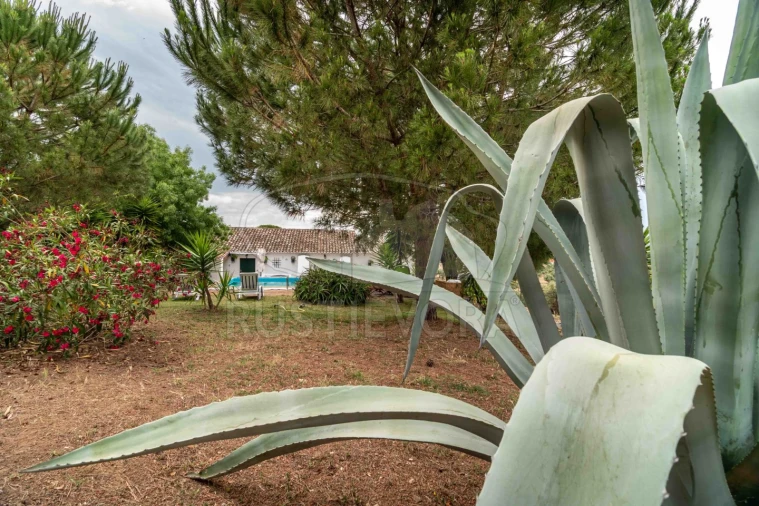 Quinta T8 para Venda em Bacelo e Senhora da Saúde Foto 58